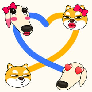 Love Doge Collect