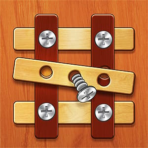Nuts And Bolts Screw Puzzle