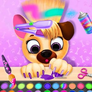 Pet Haircut Beauty Salon